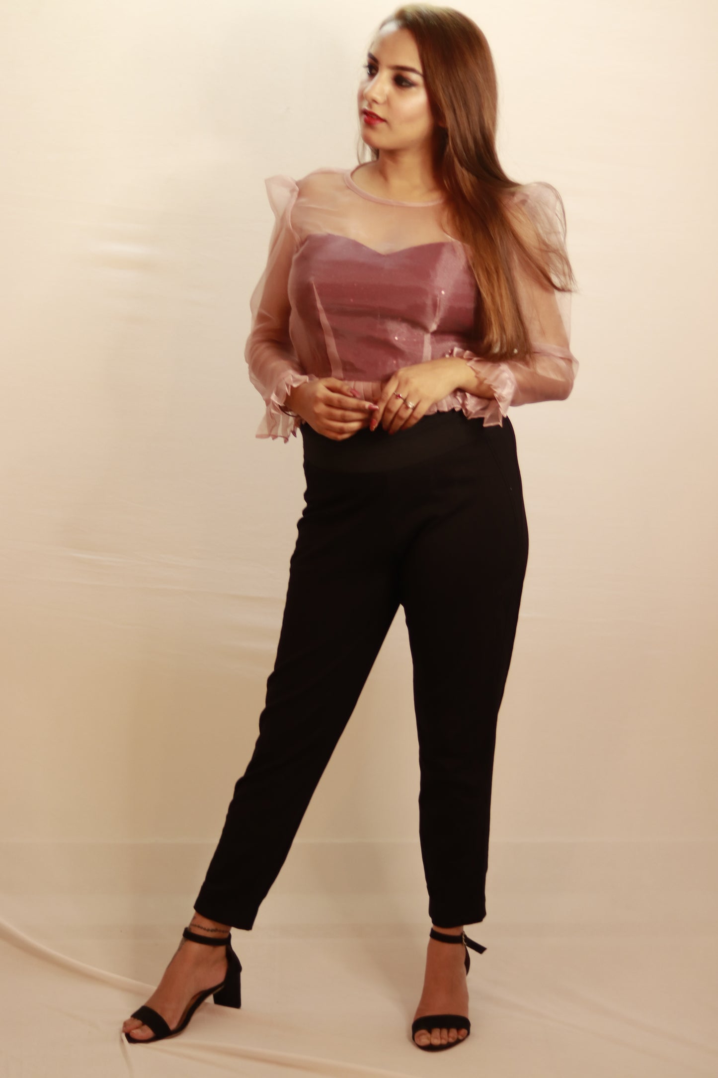 Blush Soirée Organza Corset Top with Sheer Puff Sleeves